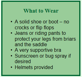 List of what to wear when horseback riding