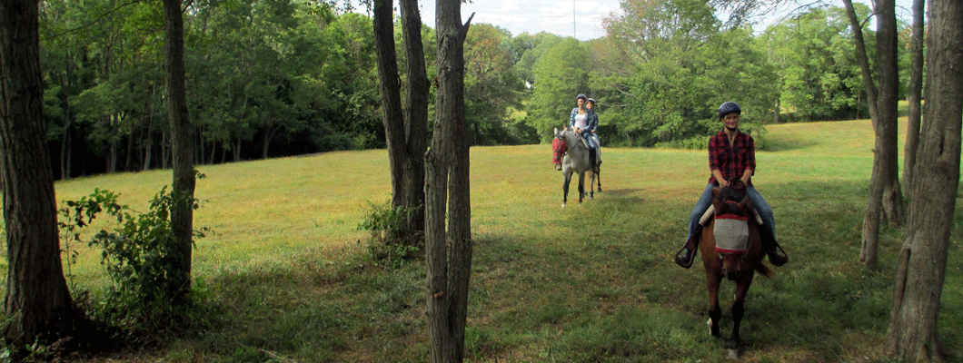 Ride horses at First Farm Inn Cincinnati,  Horseback riding in Kentucky