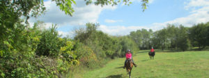 horseback riding Cincinnati,
