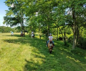 ride horses, horseback riding Cincinnati, Kentucky