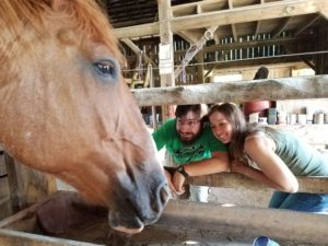 Visiting horses in historic barn