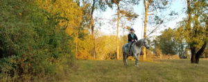 Fall horseback riders