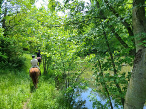 Horseback riding by pond