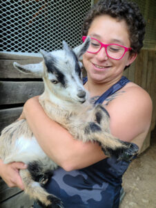 Pygmy goat at First Farm Inn.