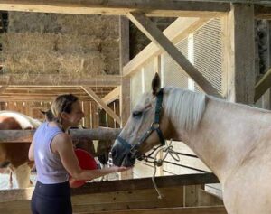 Guest visits with horse in barn