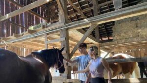 Guests visit horses in barn