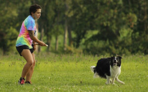 Dog games maintain health and fitness. 