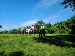 Horseback riders in First Farm Inn pasture.