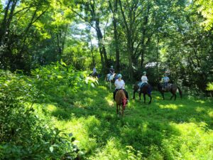 Horseback ridings in Kentucky woods.