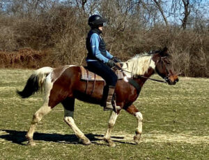 horseback riding Cincinnati