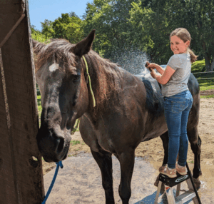 Girl bathes black horse
