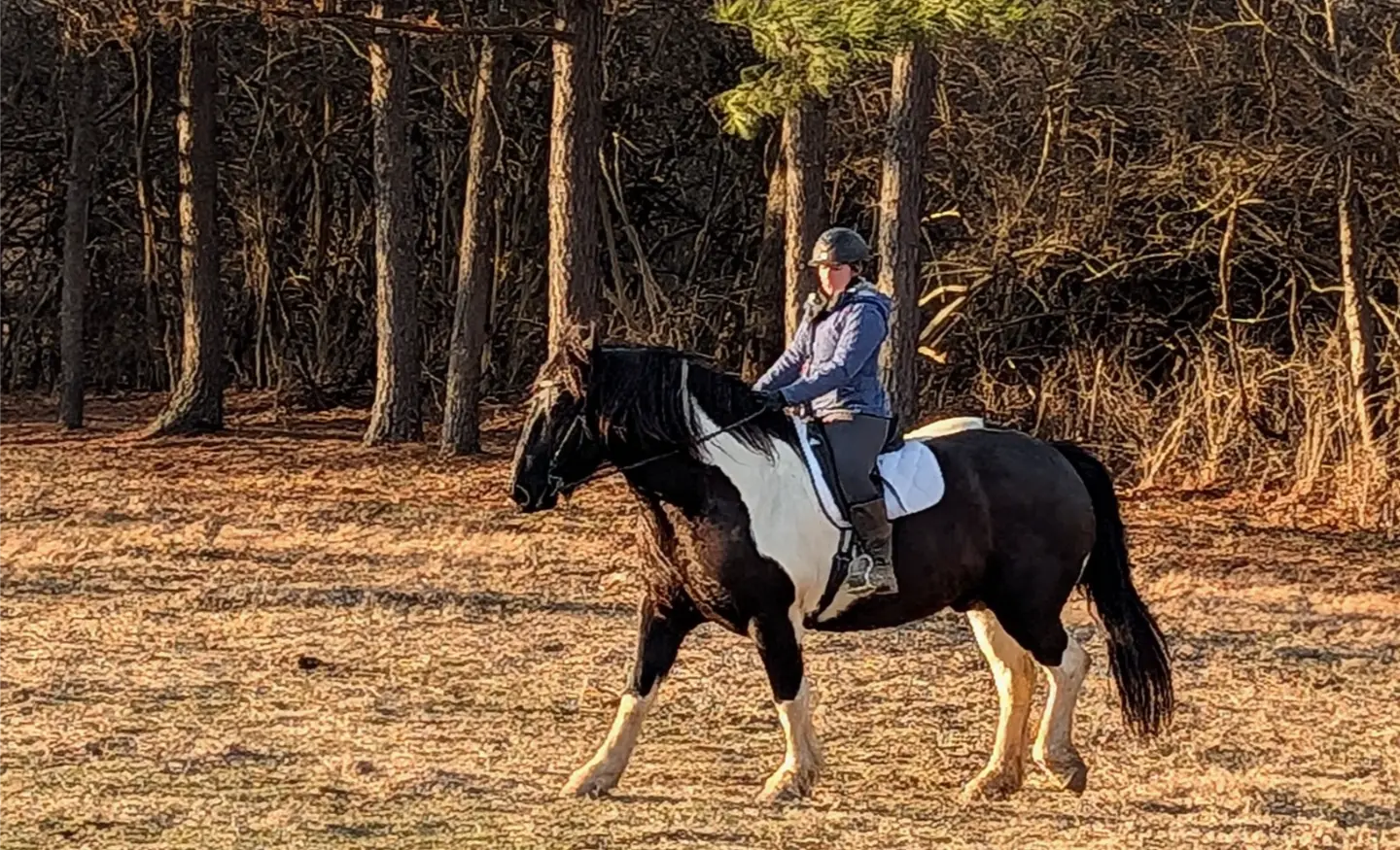 Rooms at this little Kentucky horse farm.